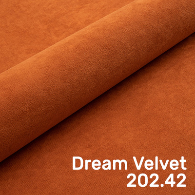 Dream Velvet 202.42